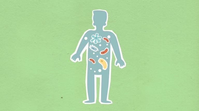 microbiote et tdah des intestin