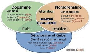 cerveau du tdah avec dopamine schéma d'explication