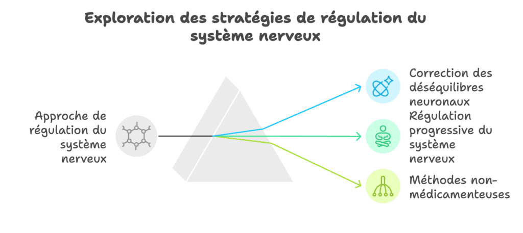 TDAH régulation système nerveux