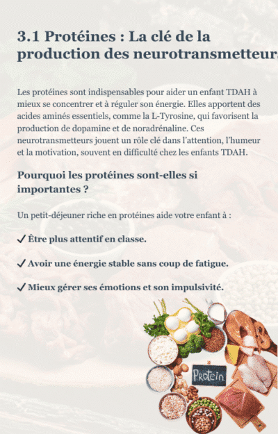 Alimentation TDAH Enfant : Moins d’impulsivité, plus de concentration – Le livre numérique nutrition complet pour les parents – Image 6