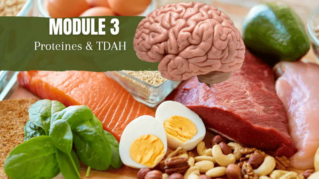 formation nutrition TDAH module 3 proteine
