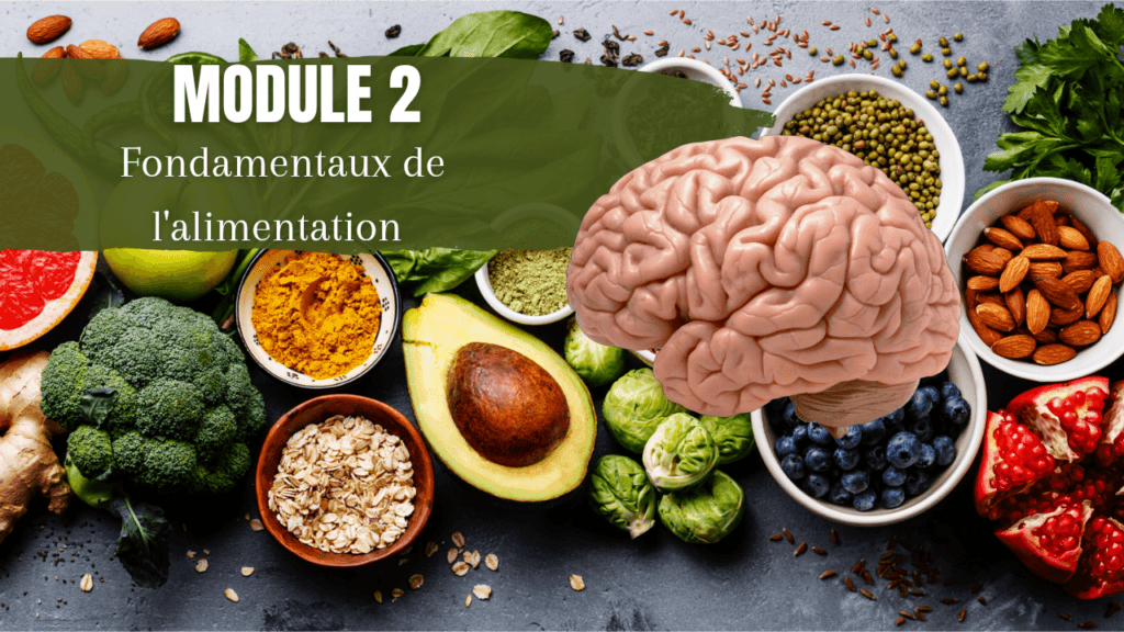 formation nutrition TDAH module 2 bases