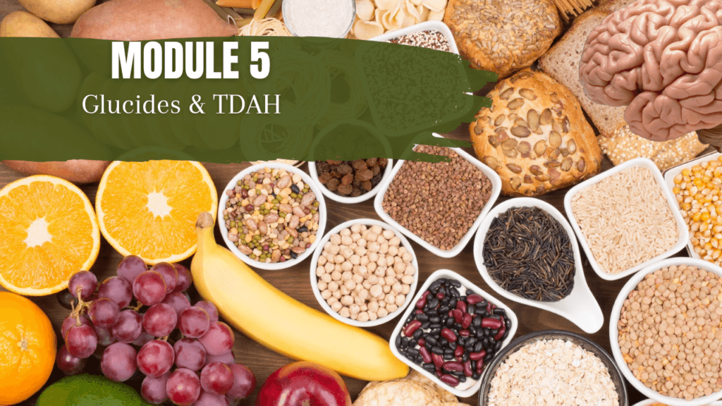 formation nutrition TDAH module 5 glucide