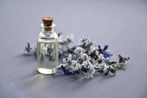 elixir de bach et TDAH