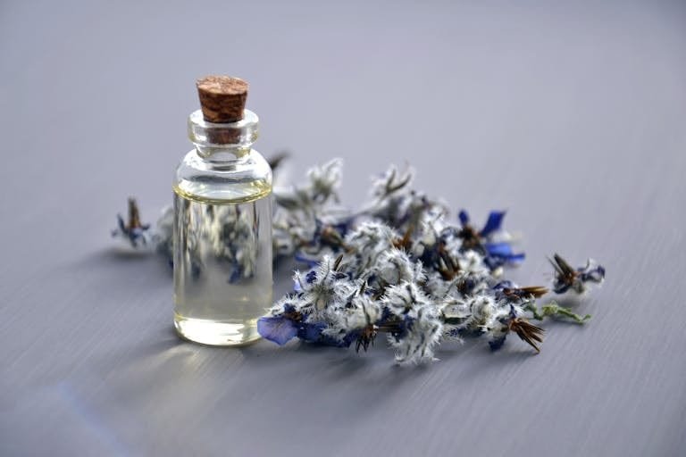 elixir de bach et TDAH