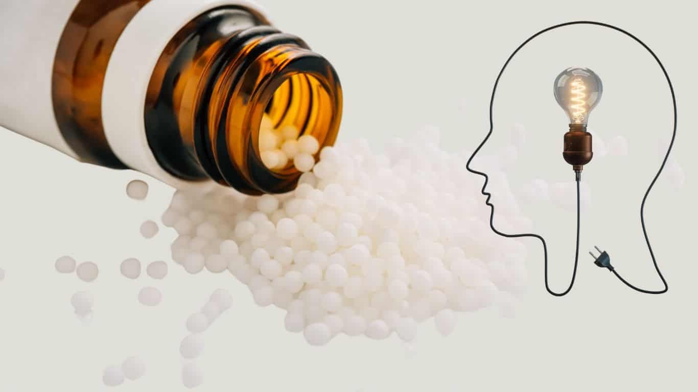 Plantes, mortier et pilon à côté d'un cerveau, homéopathie et approches naturelles du TDAH