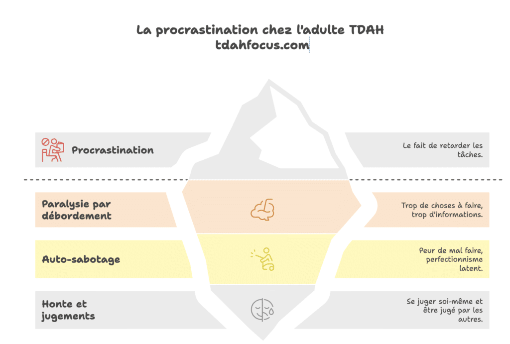 Infographie hyper focus TDAH