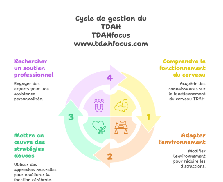 cerveau tdah et accompagnement et solution