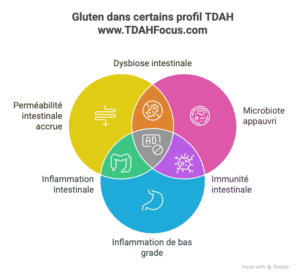infographie regime tdah