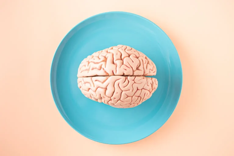 Cerveau posé dans une assiette bleue sur fond rose, le lien entre alimentation et cerveau