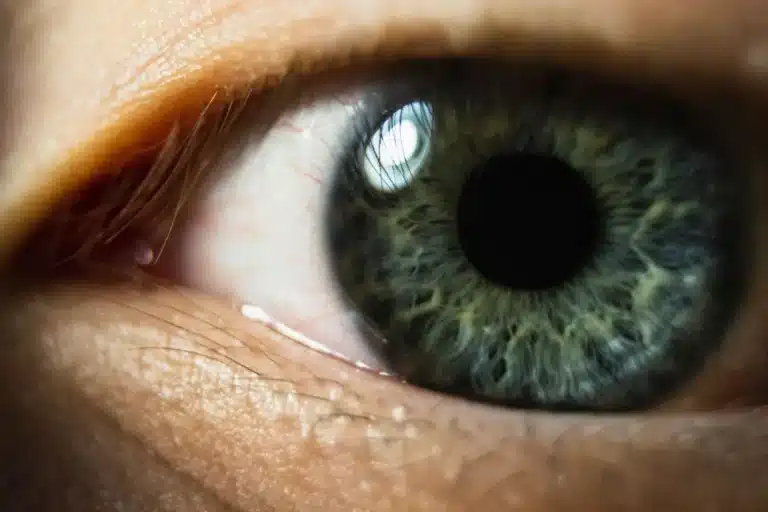 Gros plan sur un œil vert, le regard au centre de l'eye tracking