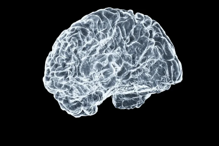 Imagerie d'un cerveau en blanc sur fond noir